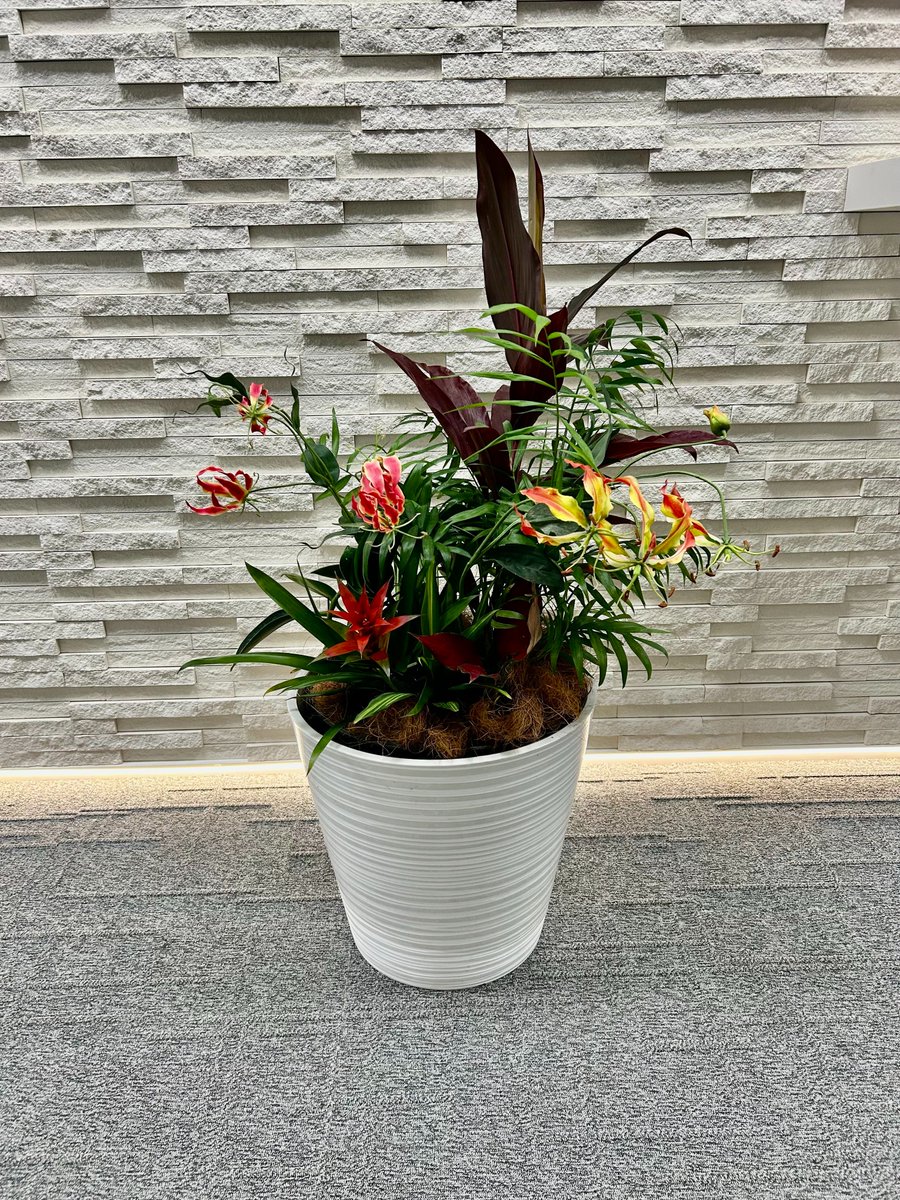 UAevic's tweet photo. おはようございます！

エントランスのお花たち。グロリオサというお花の花言葉は「栄光」や「勇敢」。
縁起の良いお花からパワーをもらって、今日も一日がんばります🌺✨

#企業公式相互フォロー
#企業公式春のフォロー祭り
#企業公式さんと繋がりたい https://t.co/BpwWPJYseW