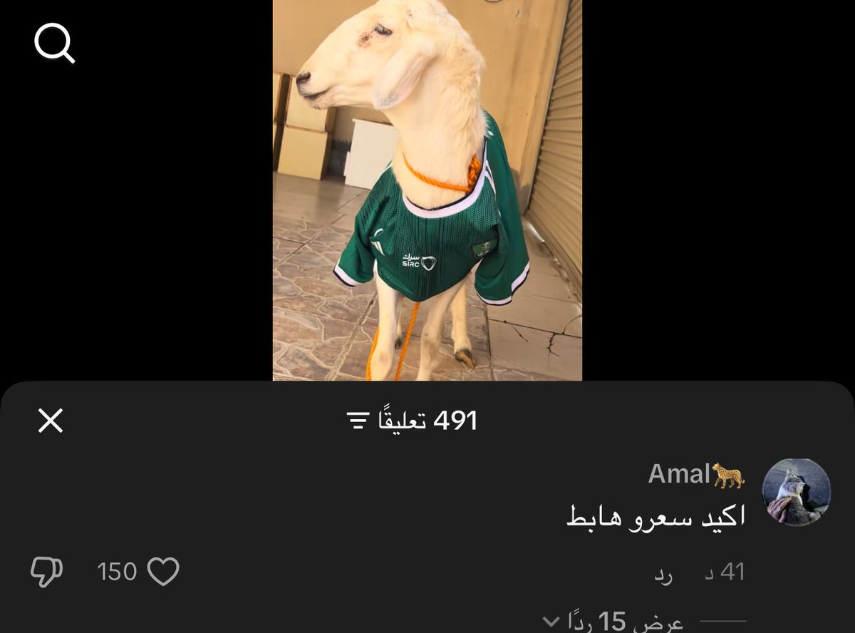 نواف tweet media