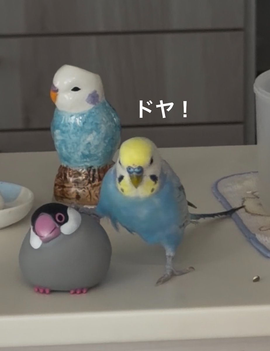 Luna | ルナ𓅯 tweet media