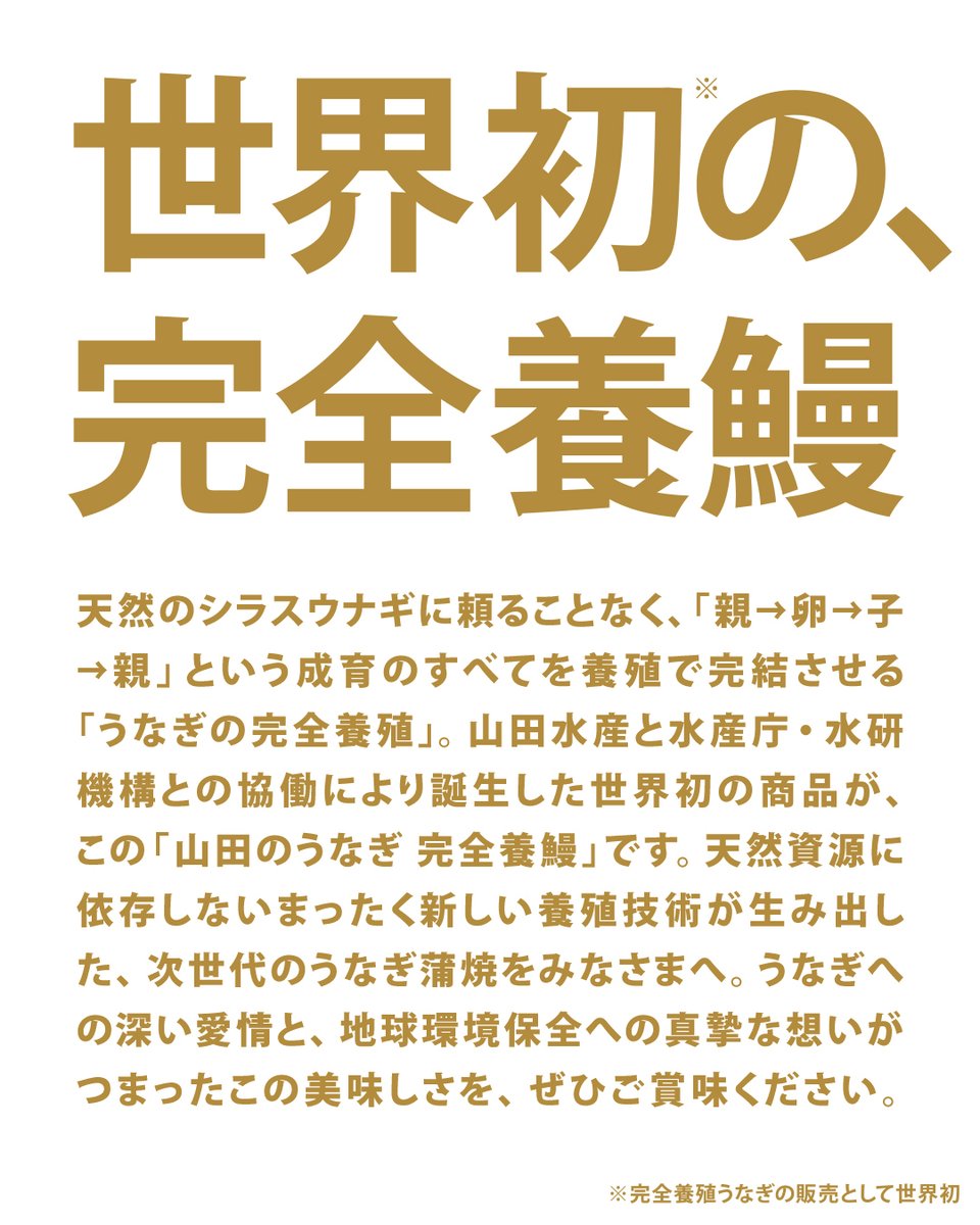 山田水産株式会社 tweet media