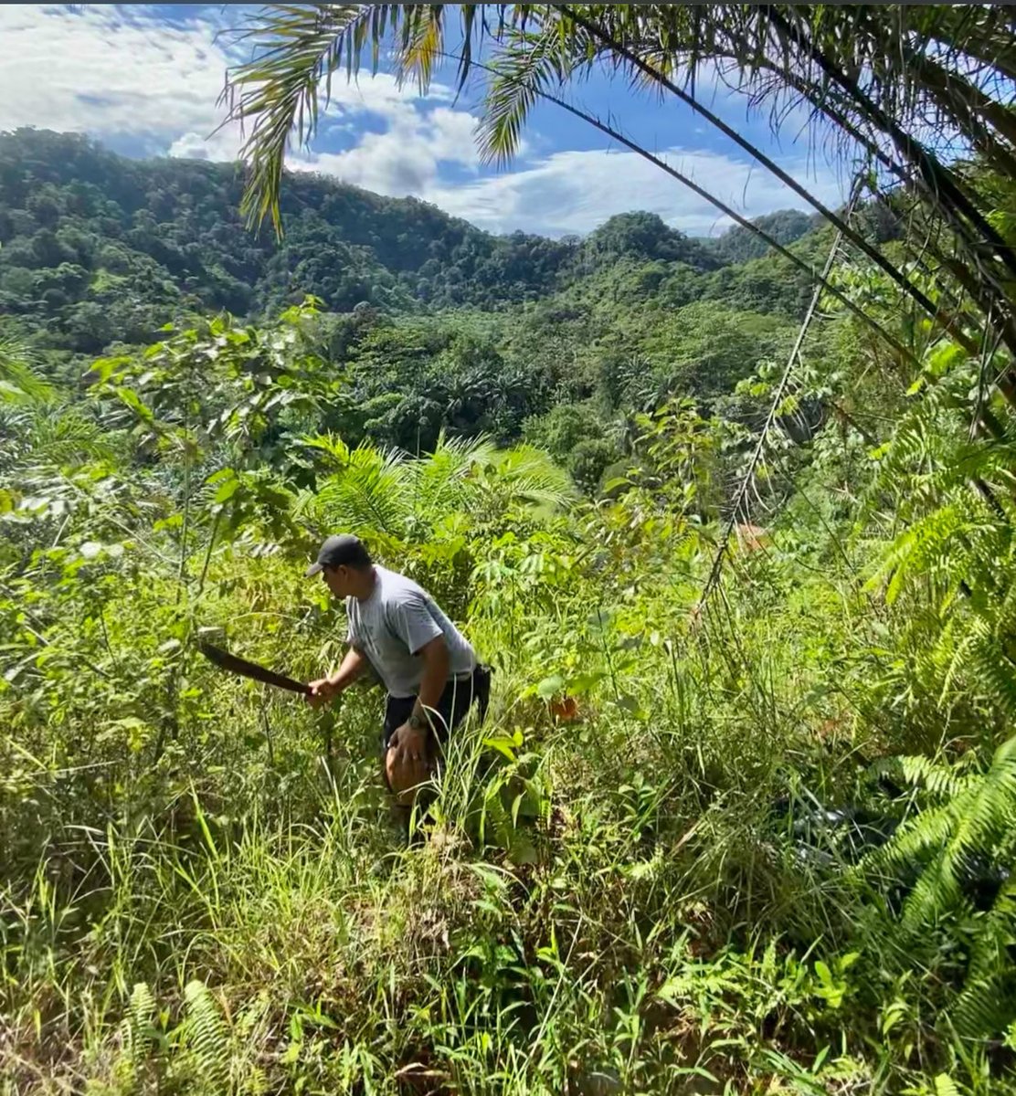 JackCringeArt's tweet photo. Do you want a tree planted?

A while back people were talking about a tree planting crypto and I told them they could simply give me ten dollars and I would plant a tree and get a picture. 

I then realized for like 50 I can hire help and plant 40 trees. If you buy an NFT or $FILF the money goes towards trees but if you want it can be even simpler.

I am working to get a site where you can pay, get a tree and a custom Doge nft with pictures but that is not quite here.

If you simply like the idea of reforestation and rainforest restoration just message me. It is planting season and anything you could do would be appreciated.  Trying to get a lot done this year.