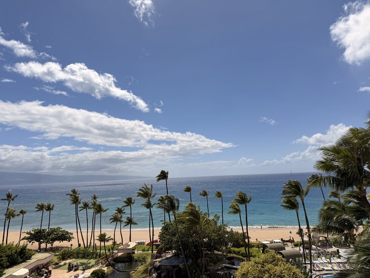 Jackson_Pierce's tweet photo. Looking at this view, drinking Liliko’i Kea and listening to Deacon Blues, this is a feeling I’ve never felt https://t.co/RqpipWa066