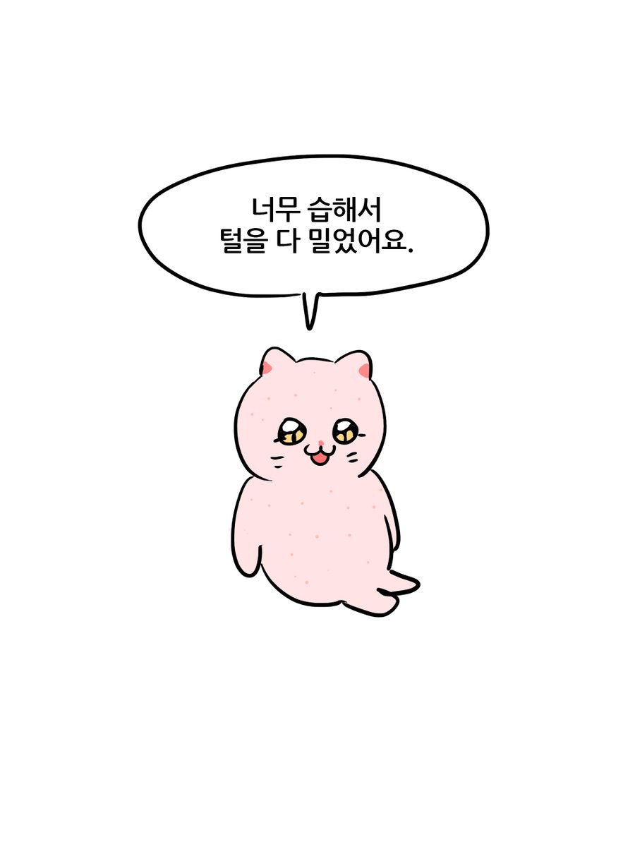김영철 tweet media