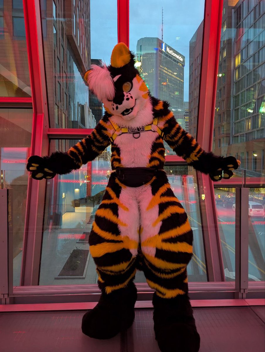 Donz🟡⚫️🐯🔜BLEAT, ANTHROCON!!! tweet media
