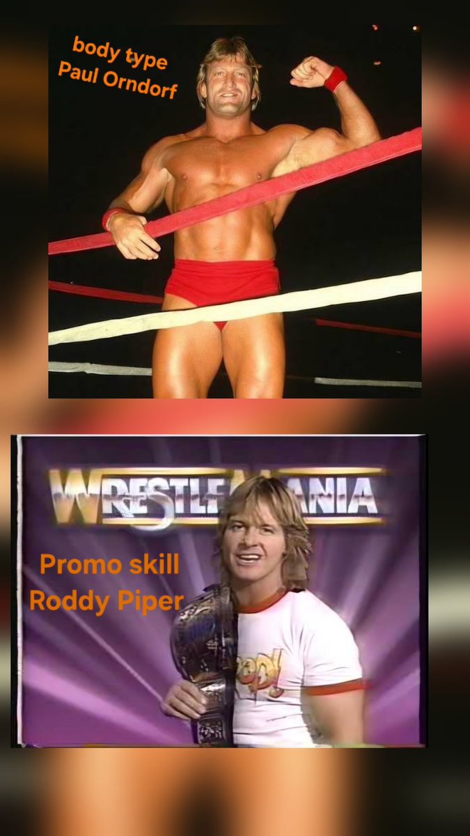 DreamFlyer16's tweet photo. @FirstNameJ0hn Body type: Paul Orndorff
Promo skills: Roddy Piper 
Wrestling skill: Bret Hart
Aerial ability: Randy Savage
Athleticism: Dynamite Kid https://t.co/tzjFQFLypV