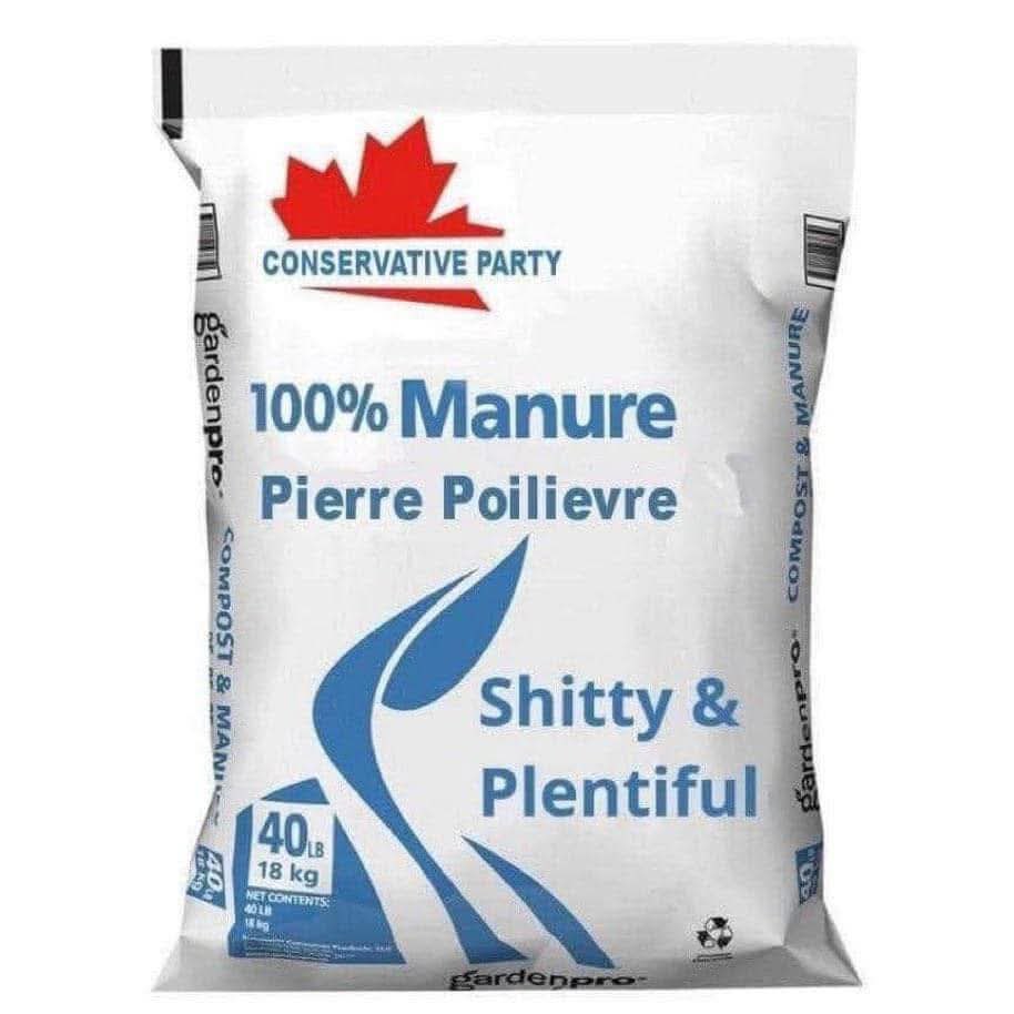Dennis Bahadur 🇨🇦 tweet media