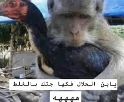 SCRATCH tweet media