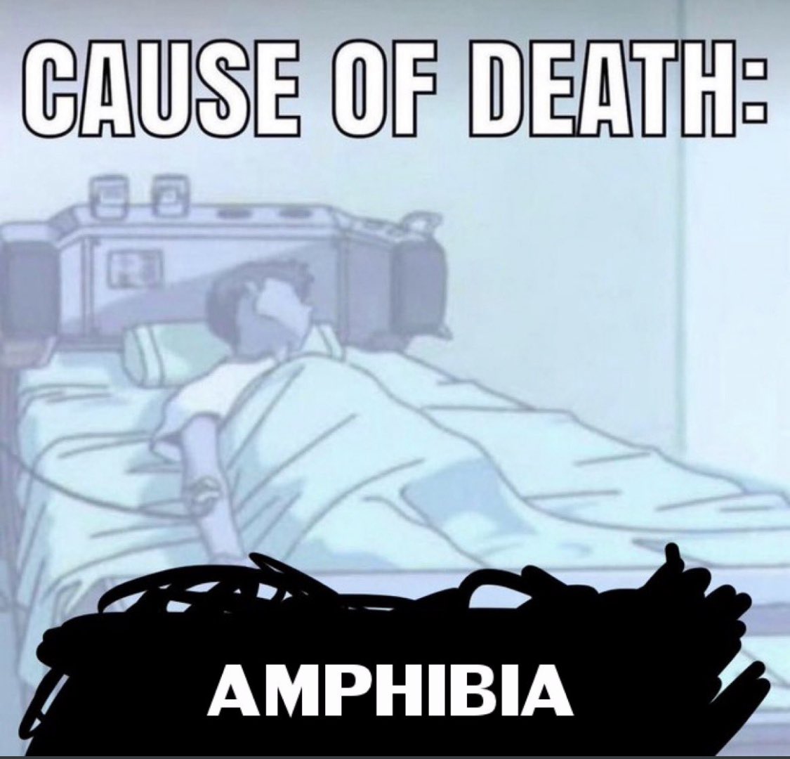 HiItsLucyy's tweet photo. give me newtopia or give me death https://t.co/fh6aevYIi6