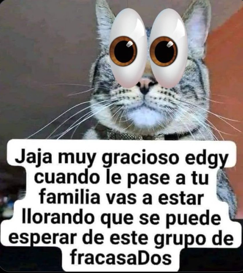 Matías Sánchez tweet media