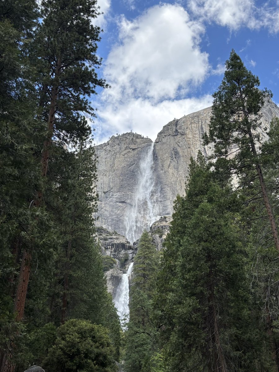 qahwacinnamon's tweet photo. took a four hour bus ride &amp; biked around yosemite https://t.co/DD6REzV0qX