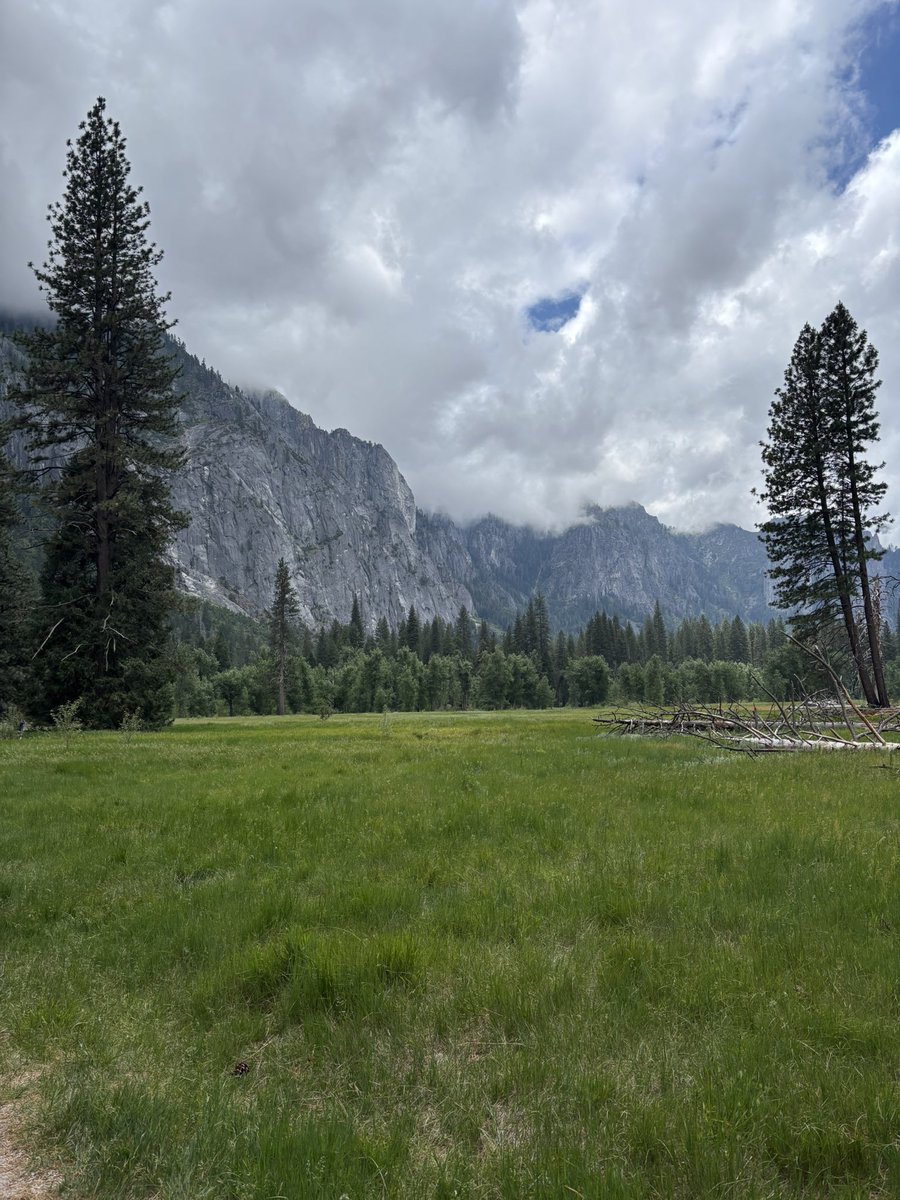 qahwacinnamon's tweet photo. took a four hour bus ride &amp; biked around yosemite https://t.co/DD6REzV0qX