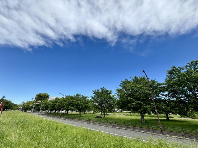 Force_Alive's tweet photo. 星の導きを受けて空を生きる：空タイプの占いで自分を知る方法
 #占い空 #占い #空
#千葉県占い　#あたる占い　#市川占い
https://t.co/zYkohPXC0y https://t.co/BRAMxLnMVY