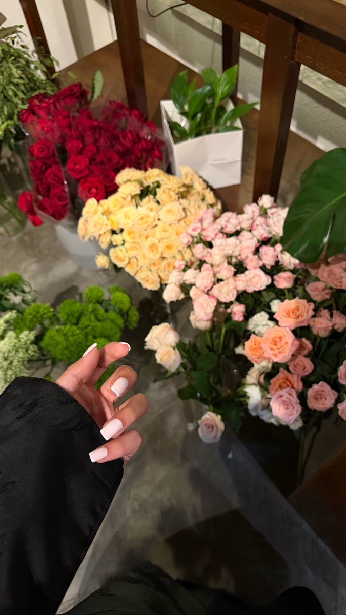 ilr3l's tweet photo. « الـنِّـسـاء أعيّــاد »
            🌷 https://t.co/viqJuN7cEP
