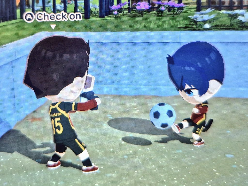 ringoumatsu's tweet photo. gave him a camera and now he wont stop taking pics of his wife https://t.co/rIzK3Qyuga