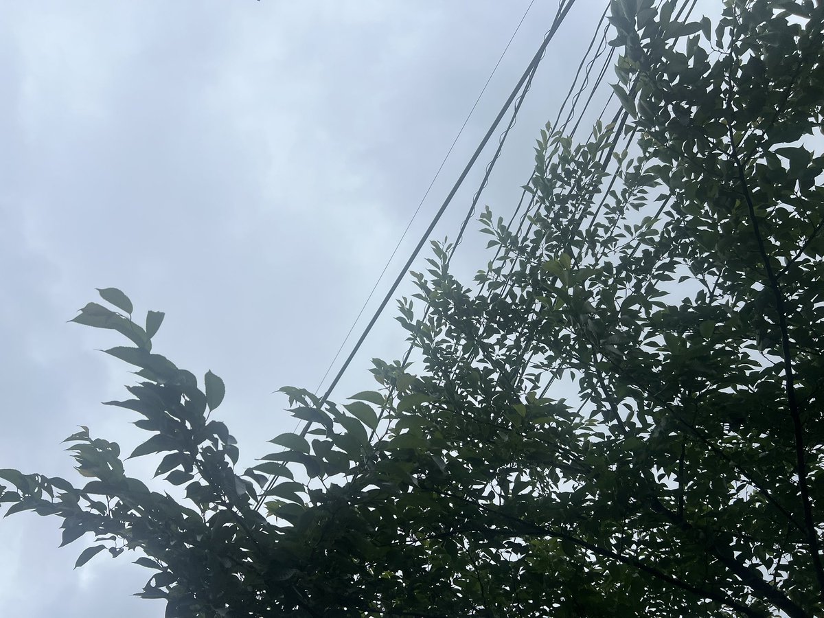 KitakyushuLife's tweet photo. #北九州の天候

こんにちは☺️
今日の天気は雨☔
最高気温は23℃、最低気温は21℃。
今はまだ雨は降っていないようです☁️

ジメジメ蒸し暑いですね💦
水分補給をしっかりして、今日も一日頑張りましょう✨

#イマソラ　
#今日の空 https://t.co/Sk5wel2yCz