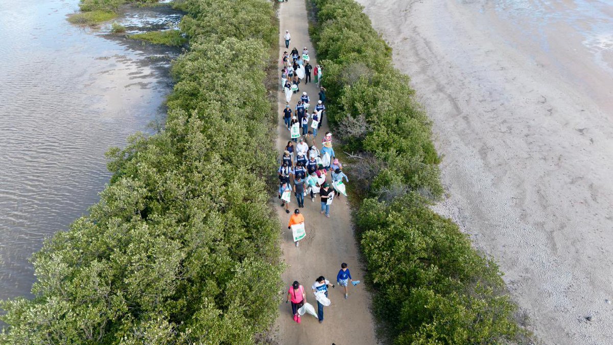 SEMARNAT_mx's tweet photo. 🌊♻️ Este fin de semana, la #Semarnat, a través de la Oficina de Representación en #Yucatán, y en coordinación con la Fundación Limpiemos Yucatán, y más de 120 voluntarios y aliados estratégicos, sumó esfuerzos en Chicxulub Puerto dentro de la Campaña Nacional de Limpieza y Conservación de Playas y Costas.

Se retiraron 661 kg de residuos y se implementó un "Mercado Circular" que recolectó 275 kg de materiales reciclables, beneficiando a 54 familias locales con productos de primera necesidad. Una acción clave para mitigar el impacto ambiental, promover la educación comunitaria y transitar hacia la economía circular en la región.

#SomosMedioAmbiente