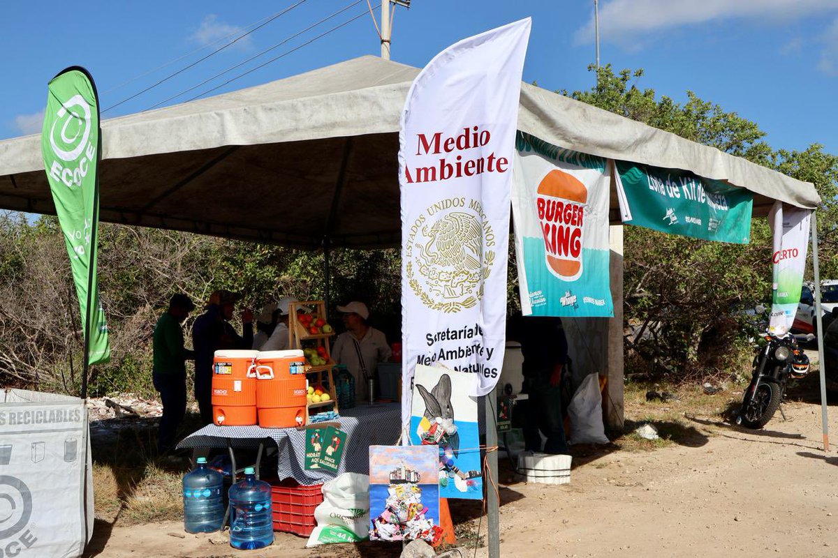 SEMARNAT_mx's tweet photo. 🌊♻️ Este fin de semana, la #Semarnat, a través de la Oficina de Representación en #Yucatán, y en coordinación con la Fundación Limpiemos Yucatán, y más de 120 voluntarios y aliados estratégicos, sumó esfuerzos en Chicxulub Puerto dentro de la Campaña Nacional de Limpieza y Conservación de Playas y Costas.

Se retiraron 661 kg de residuos y se implementó un "Mercado Circular" que recolectó 275 kg de materiales reciclables, beneficiando a 54 familias locales con productos de primera necesidad. Una acción clave para mitigar el impacto ambiental, promover la educación comunitaria y transitar hacia la economía circular en la región.

#SomosMedioAmbiente