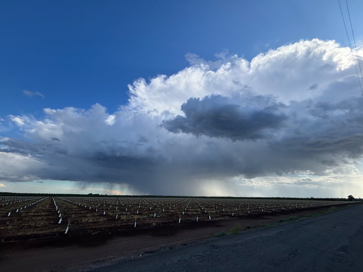 W_C_Weather's tweet photo. Storm. https://t.co/BM1qEuS7BZ