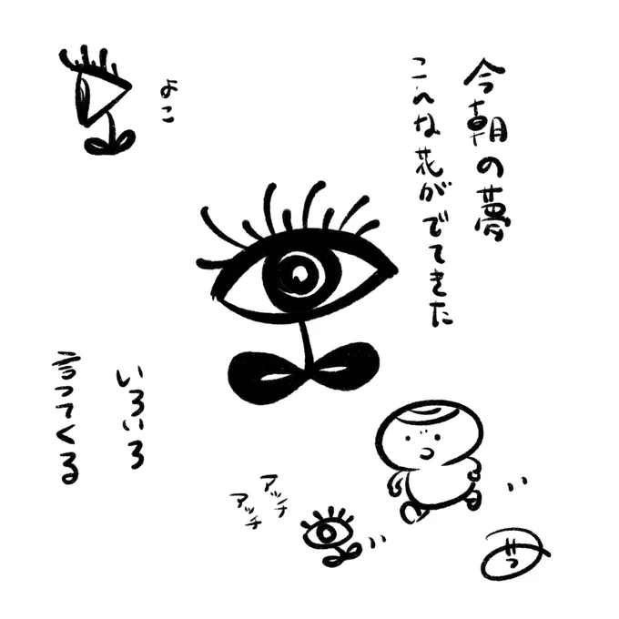 今朝の夢は謎夢でしたね 