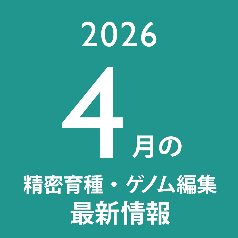 setsurotech's tweet photo. 皆さんに品種改良加速技術（ゲノム編集技術）の可能性について考えてもらえればと、このXアカウントでは関連する論文やニュース記事の情報を、随時ピックアップして、ご紹介しています。

2026年4月に紹介した分をまとめました。
研究開発や新規事業のタネ探しにぜひ！

https://t.co/ScayJM6gpQ https://t.co/4cD8fH0jAJ