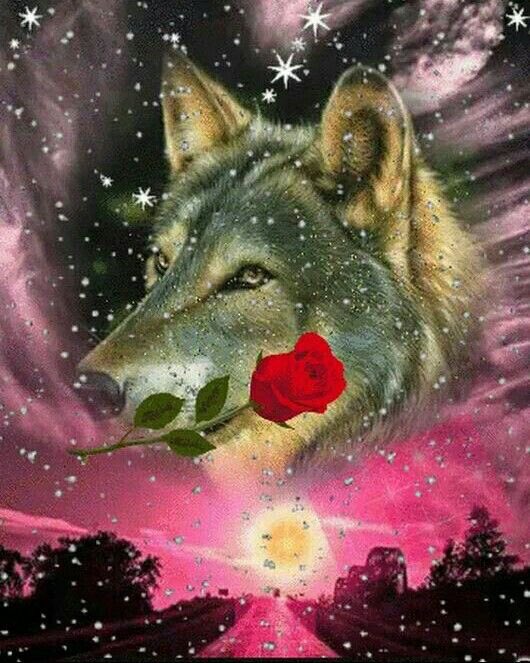 Ი𐑼 tweet media