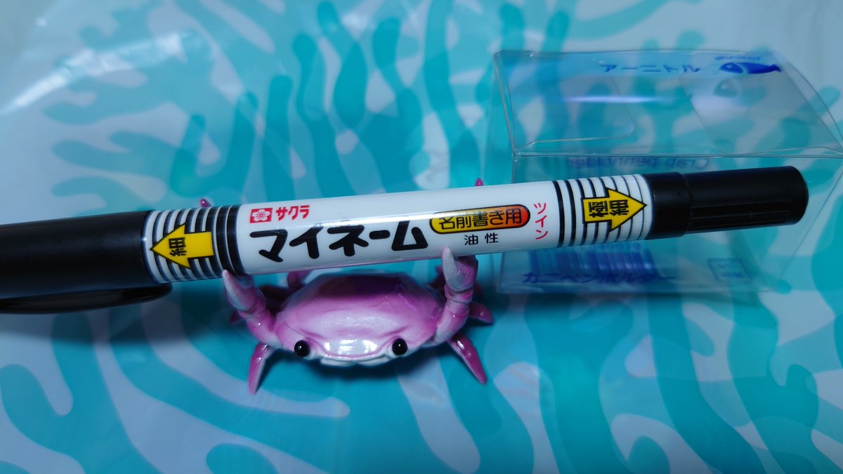 besshidouzan's tweet photo. アーニトルのカニペンホルダーも連れて帰りました〜🦀#アーニトル　#カニペンホルダー　#カニ　#すさみ町立エビとカニの水族館　#和歌山県 https://t.co/U6vsWLIcEJ