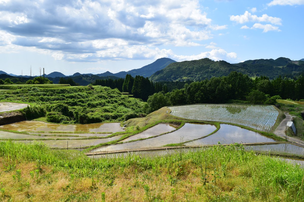 mlit_midori's tweet photo. 緑川ダムが所在する美里町の棚田に水が張られ
田植えが始まっていました
山の斜面に階段状に連なる水田はとても美しく
鏡のように山をくっきりと水面に映し出して
写真を撮らずにはいられない風景です

＃緑川ダム
＃熊本県美里町
＃棚田
＃田植え https://t.co/800pxrG9s5