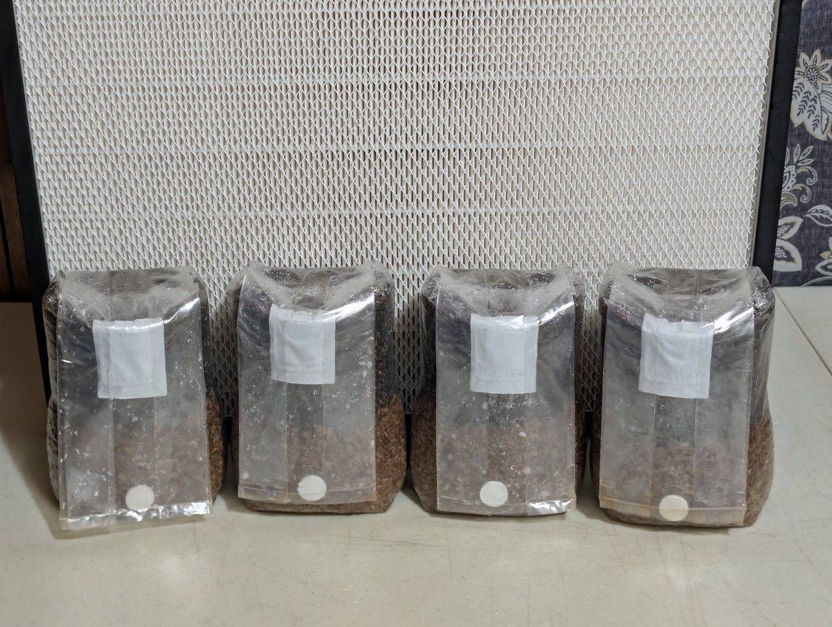 Satsangamyco's tweet photo. All in one kits ready to go. These 4 are not spoken for, yet! These cone with genetics and shipping!

Slide on into those DMs and ask for a menu! https://t.co/Ts6Vk7YDY1