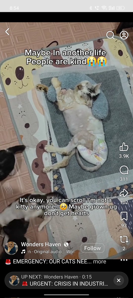 ninashakirax's tweet photo. Hi everyone, can I please get your help to report this video on Facebook? They are using Roy's video to raise fund to their account.

Link to the video: https://t.co/bWKjeL66Ht https://t.co/Dh1WMZPVFN