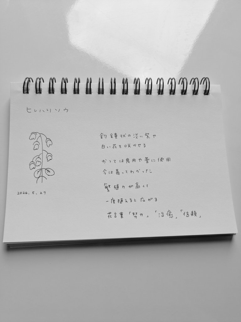 ほてめ tweet media