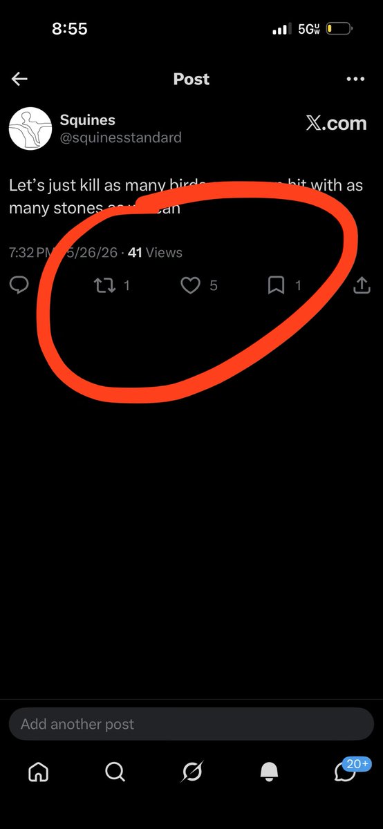Squines tweet media