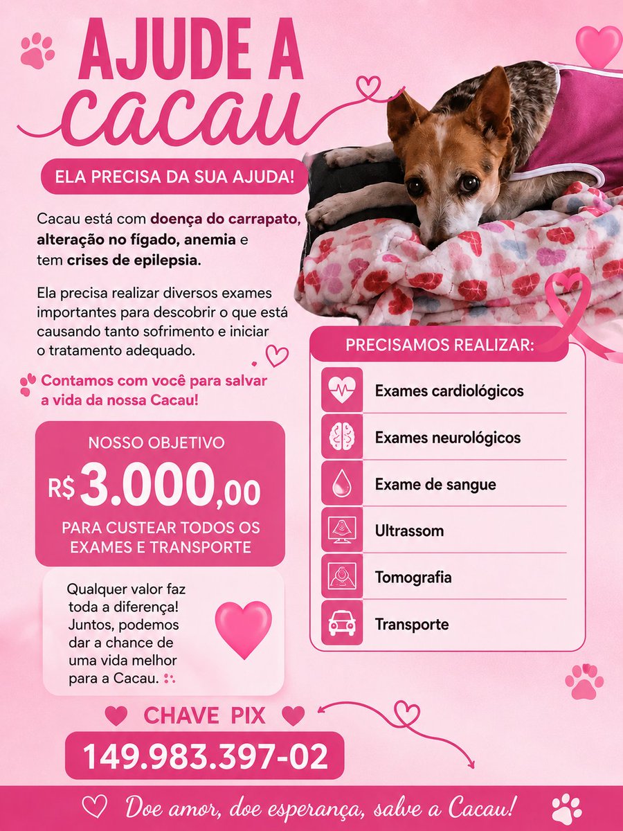 thaiannax's tweet photo. Pessoal, vamos ajudar a cacau? Pedimos que continuem orando, compartilhando e, se puderem, ajudando com qualquer valor. Toda ajuda faz diferença nesse momento tão difícil. PIX CPF 149.983.397-02 https://t.co/SPABjJg0TX
