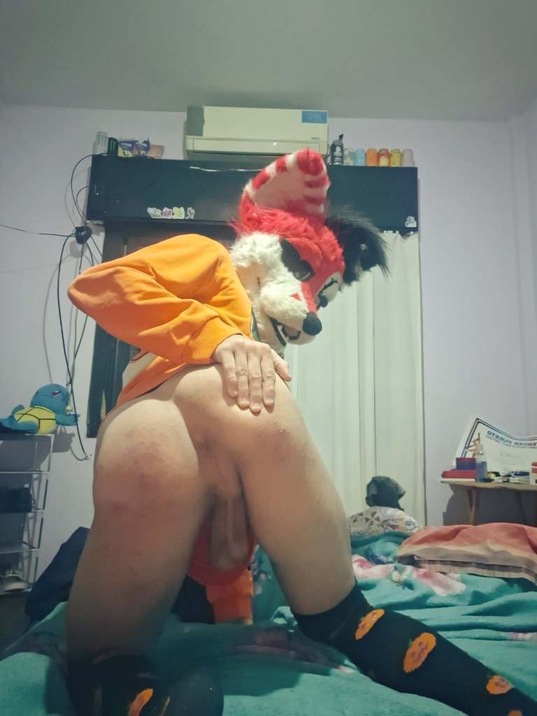 FelixHornyFox's tweet photo. 👻🍑
.
#mursuit #mursuiter #furryad #nsfw #mursuirday https://t.co/aO5G2zb5I4