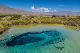 ElViejoPelon27's tweet photo. ¿Cuántos años tenías cuando te enteraste que las pozas de Cuatro Ciénegas, Coah son las únicas en el mundo que tienen estromatolitos, las bacterias marinas responsables de oxigenar la atmósfera hace 3500 millones de años, creando así el mundo actual?

¡A vedá!

#CuantosAñosTenías https://t.co/mnA9c7llyc