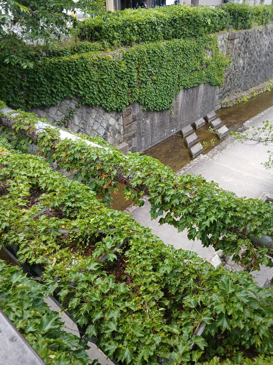 doutetsu_DRFC's tweet photo. 先週の土曜日に５月企画として京都市電の廃線跡歩きを行いました🚶
只廃線から六十年も経っていた事もあって遺構は下記の写真のみ...
道中にある二条城にも立ち寄り、天守閣等を散策しました🏯
来月も何か企画を行う予定なのでお楽しみ...(企画担当) https://t.co/t2gbVFPbef