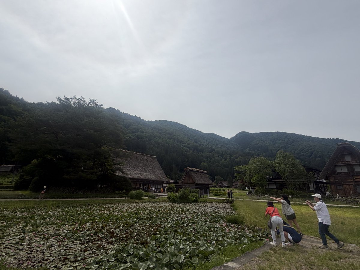 migimaru0729's tweet photo. 白川郷に到着🏔️
海外の方だらけで「本当に日本？」ってなるレベル。笑

合掌造りを眺めながら、森林の坂道を散歩。空気も景色も最高すぎる🌿

名古屋出張→高山→白川郷の弾丸旅だけど、頑張って来てよかった。
今日は高山観光して東京へ🚌

英語もまたこれから頑張ろう。✍️
#白川郷 https://t.co/ulFuvH6WAG