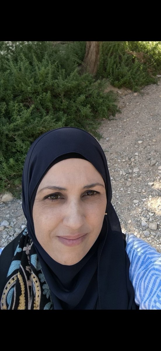 Merna tweet media