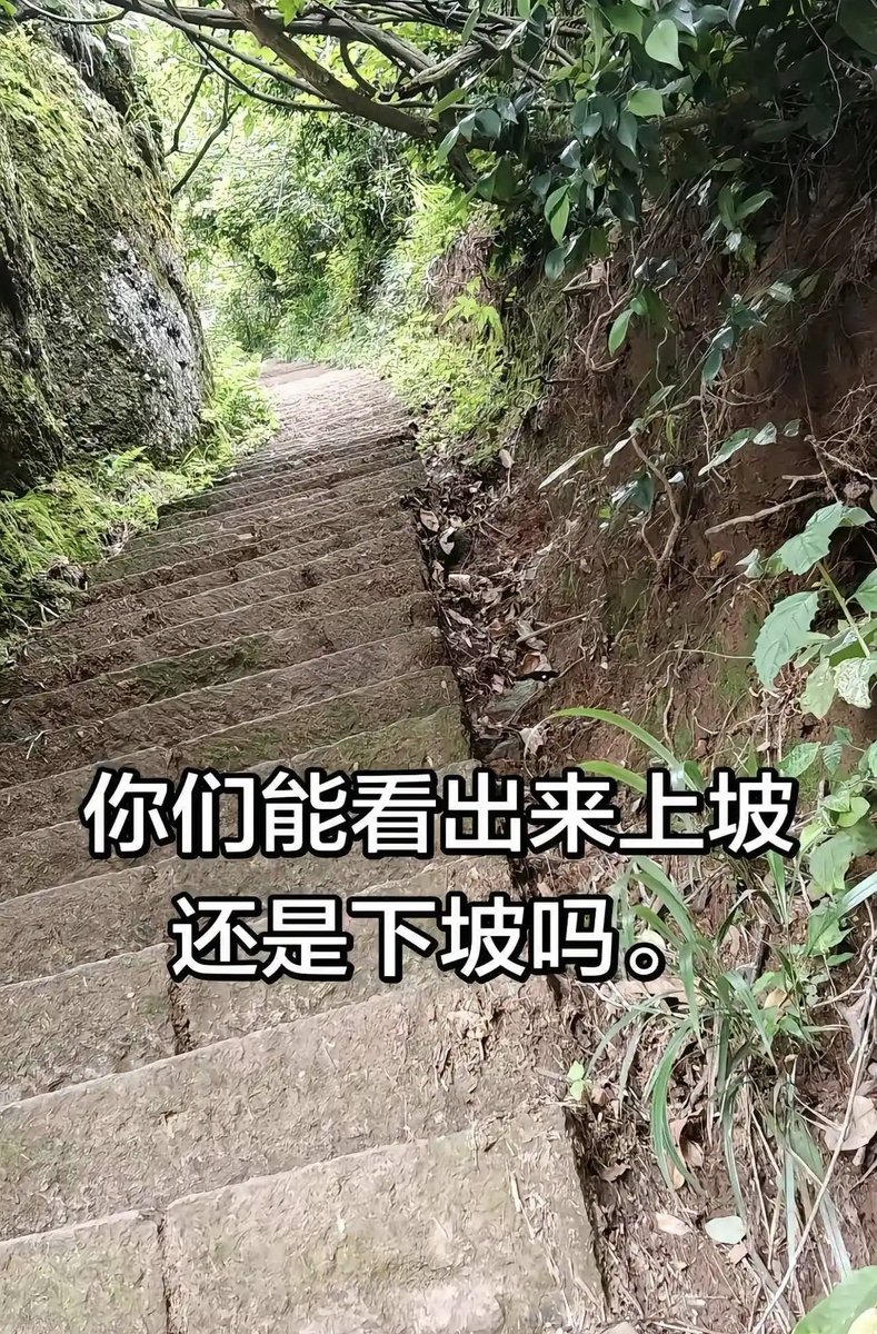 翅翅膀喵 tweet media
