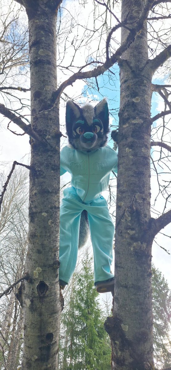TezziFox's tweet photo. Damn who told him to climb?! #furry #fursuit #foxfurry https://t.co/tMCkApHOB5