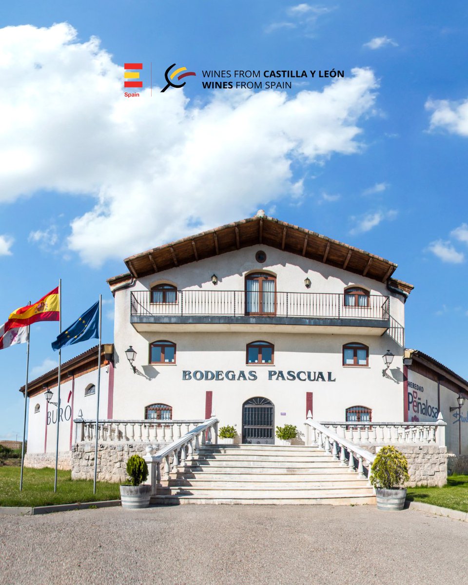 winecylasia's tweet photo. 🍷Two more participants from Ribera del Duero:
Martín Berdugo - Estate at 800m on the Duero River crafting elegant Tempranillo wines. @martinberdugo
Bodegas Pascual - Winery producing authentic, terroir-driven Tempranillo reds. 
📍 HK 29/6 • Beijing 1/7 • Shanghai 3/7 https://t.co/rY0pTRmHMT