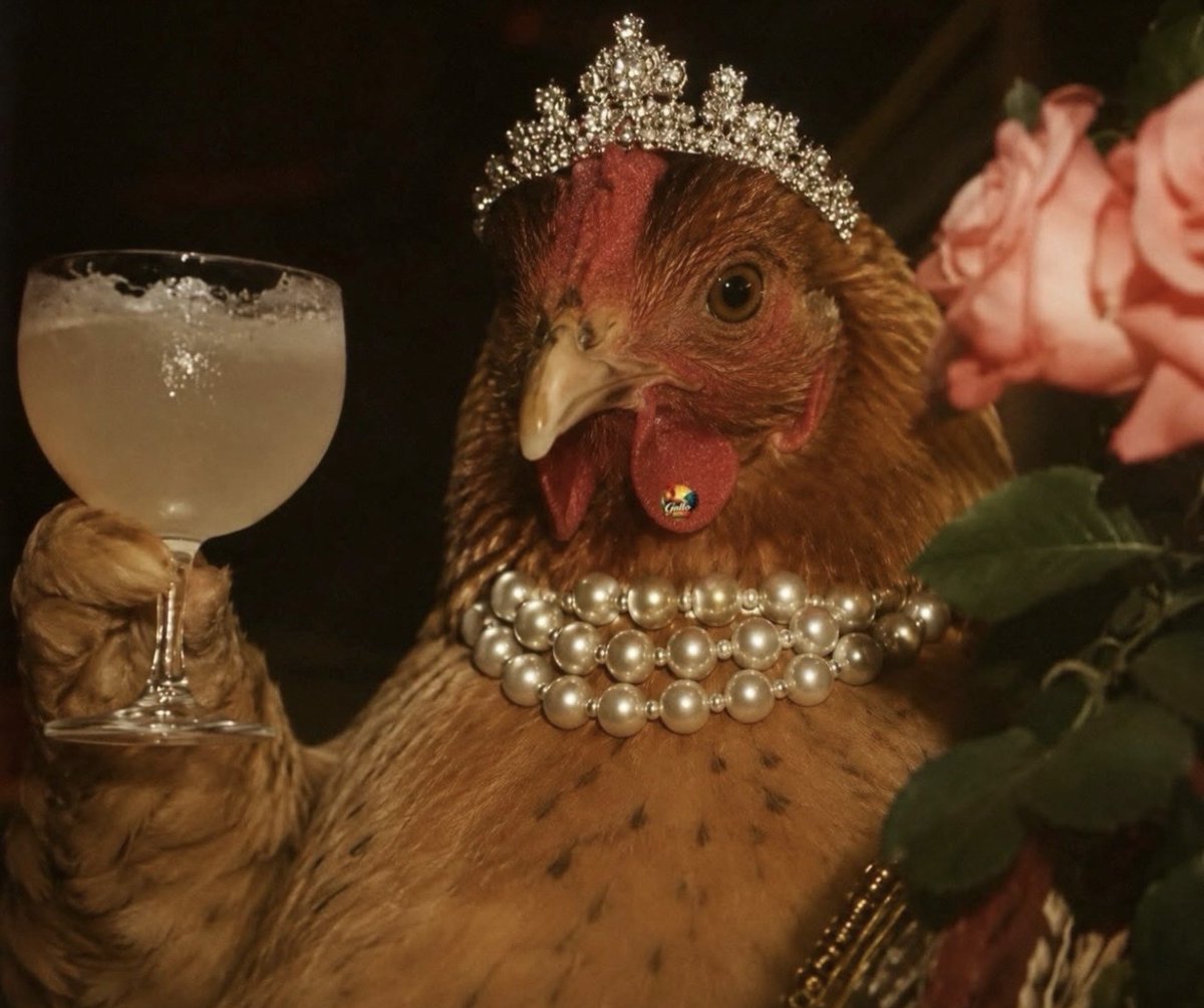 El Guarromántico tweet media