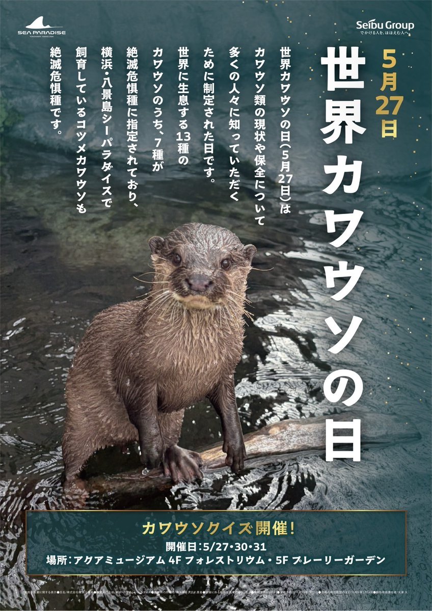 横浜・八景島シーパラダイス公式 tweet media