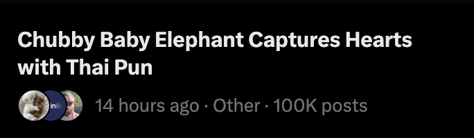 Crypt0Fl4k's tweet photo. Not even 24 hours in and chubby has 100k posts on X 

People are seeing this chubby elephant all over their timelines

Stay positioned for what's to come

1.8m was just a test

2kBH6UcR8TitebUbKNYNvjUkSFWaiFBJ7nAPTKQwpump

https://t.co/Tyd2Y5c4I7 https://t.co/kBfCf4ZdAp
