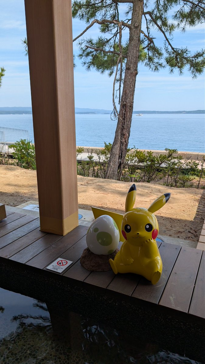 白たん👍️✨(能登📸) tweet media
