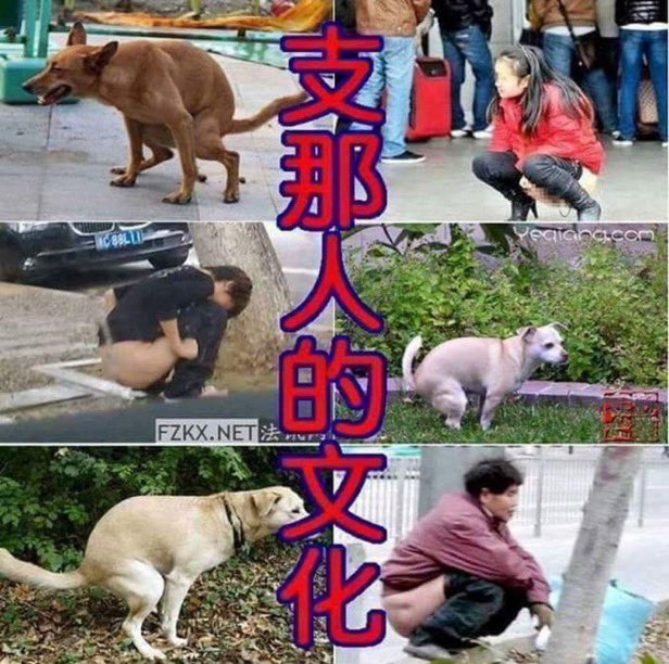 ヨハネ tweet media