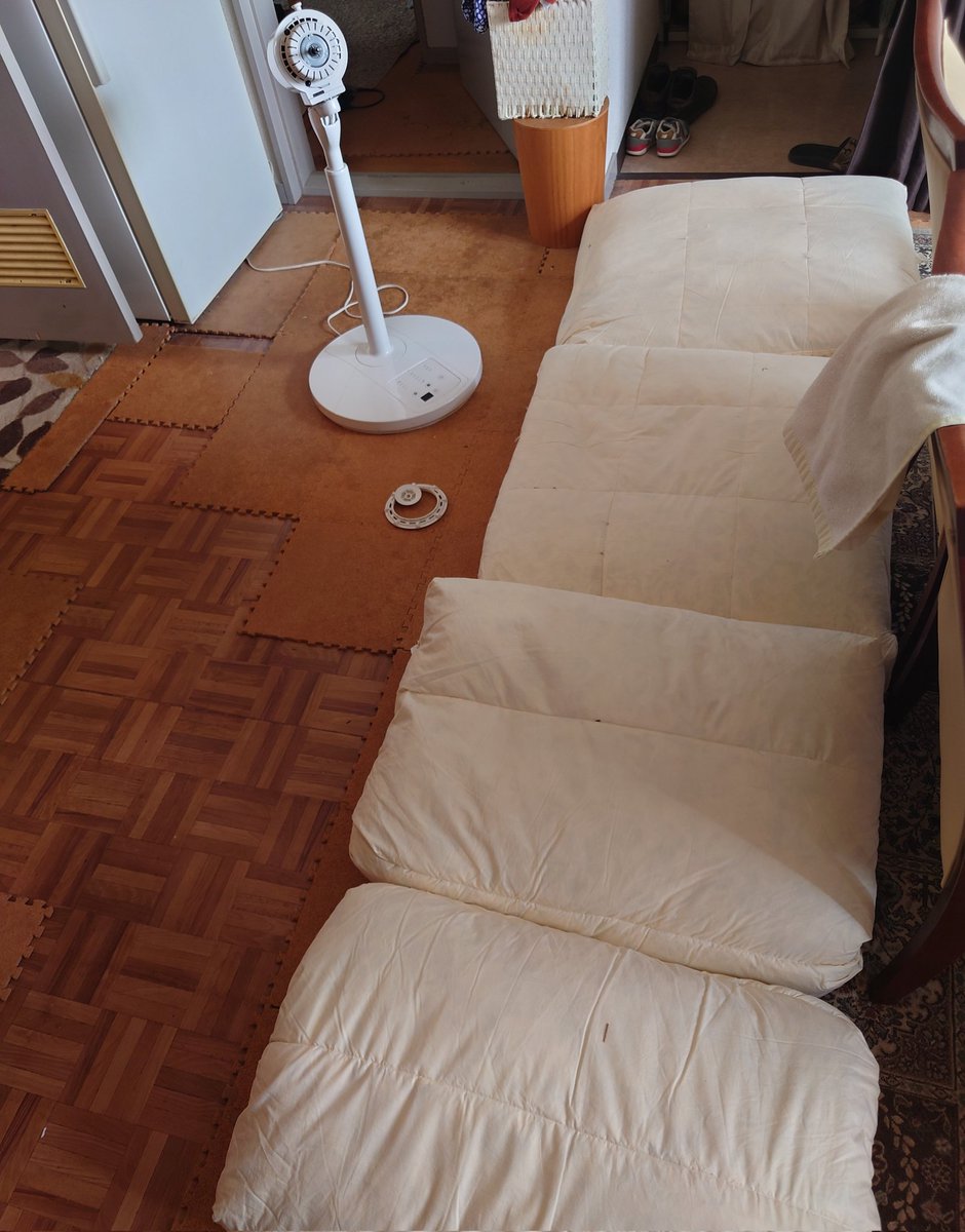 大成雅志 tweet media
