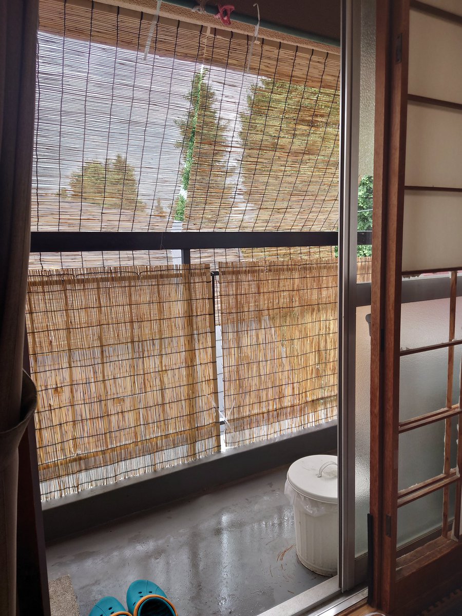 大成雅志 tweet media