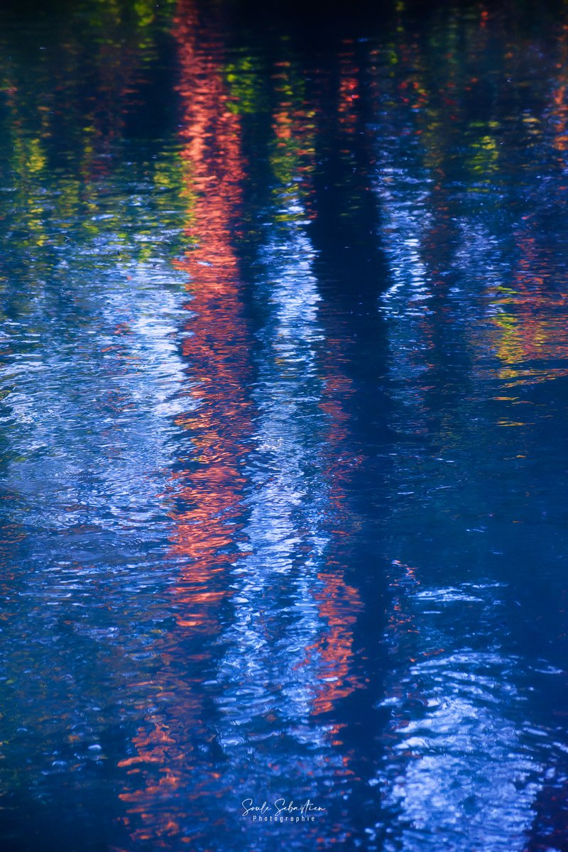 Valgone_photo's tweet photo. Réflexion vibrante. Vibrant reflection.
#photographyIsArt #photography #abstractexpressionist https://t.co/kBQ9jIDW8v