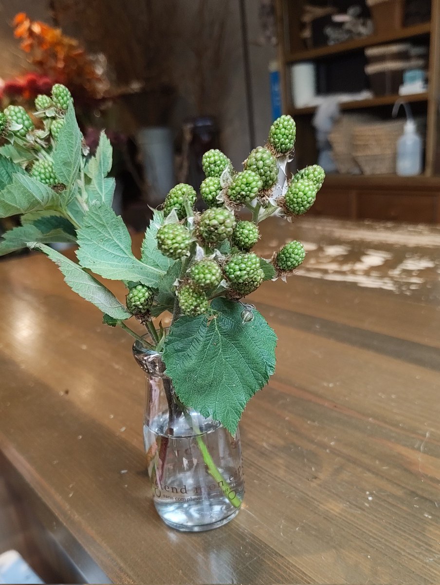 ForestdeFlorist's tweet photo. #TLを花でいっぱいにしょう #癒し #宗像市 #福岡県

昨日のお花の教室で作りました
生徒さん募集中！
#ブラックベリー #フラワースクール https://t.co/ton1lAxjI9