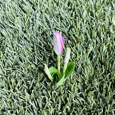 zaramonroe09's tweet photo. #NuevaFotoDePerfil https://t.co/K4KJDOWEI7